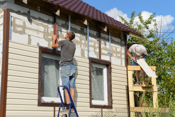 Best Insulated Siding Installation  in Avenal, CA