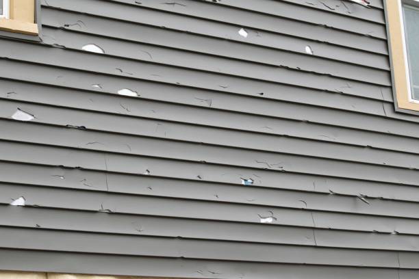 Best Residential Vinyl Siding Installation  in Avenal, CA